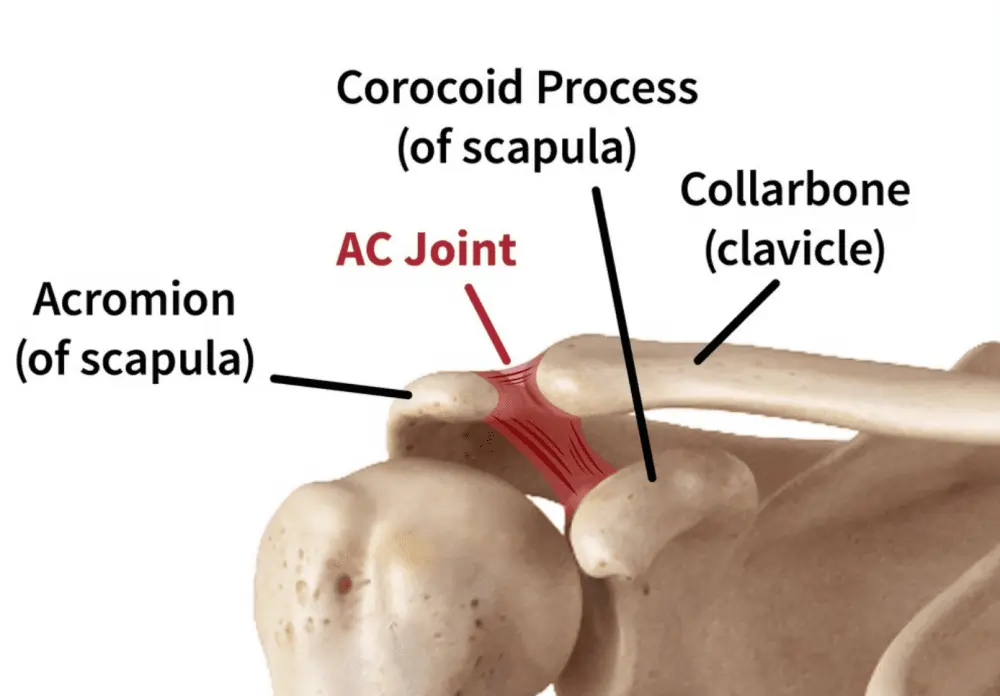 Shoulder Acromioclavicular Joint Injury